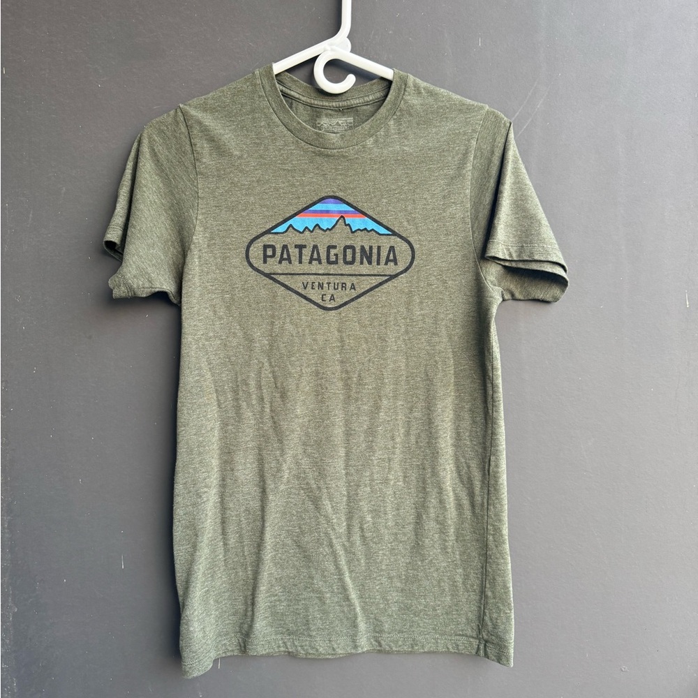 Patagonia Men's Fitz Roy Crest Cotton/Poly T-Shirt in heather green